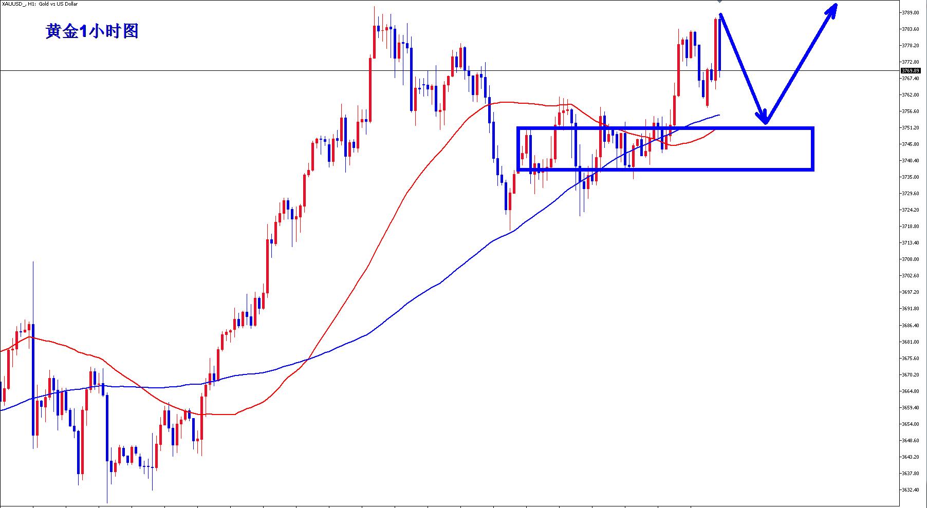 【XM外汇平台】：黄金多头蓄势再发力，早盘回落继续多！(图1)