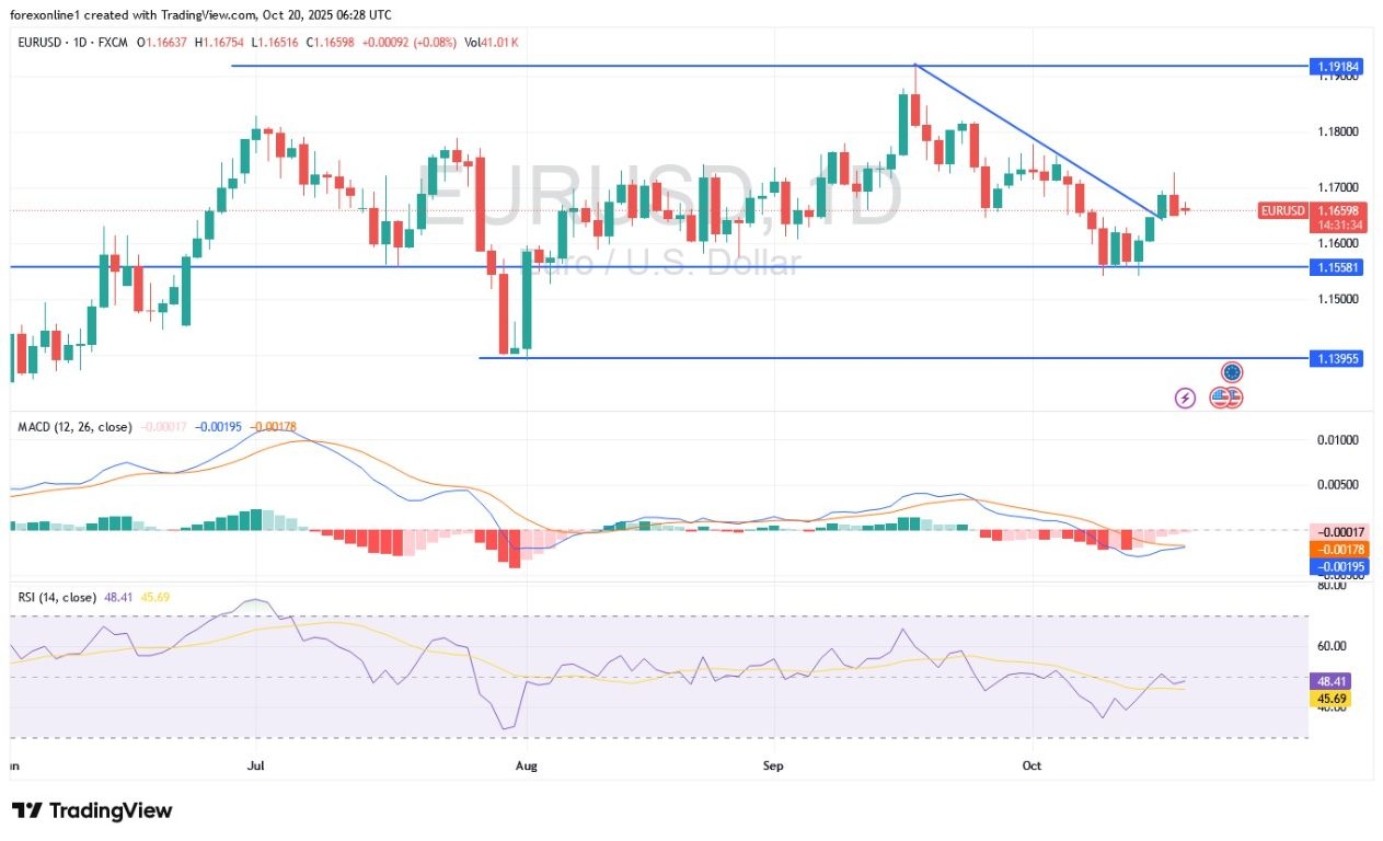 【XM Decision Analysis】--EUR/USD Analysis: Optimism for Euro Recovery Remains(图1) 【XM Decision Analysis】--EUR/USD Analysis: Optimism for Euro Recovery Remains(图1)