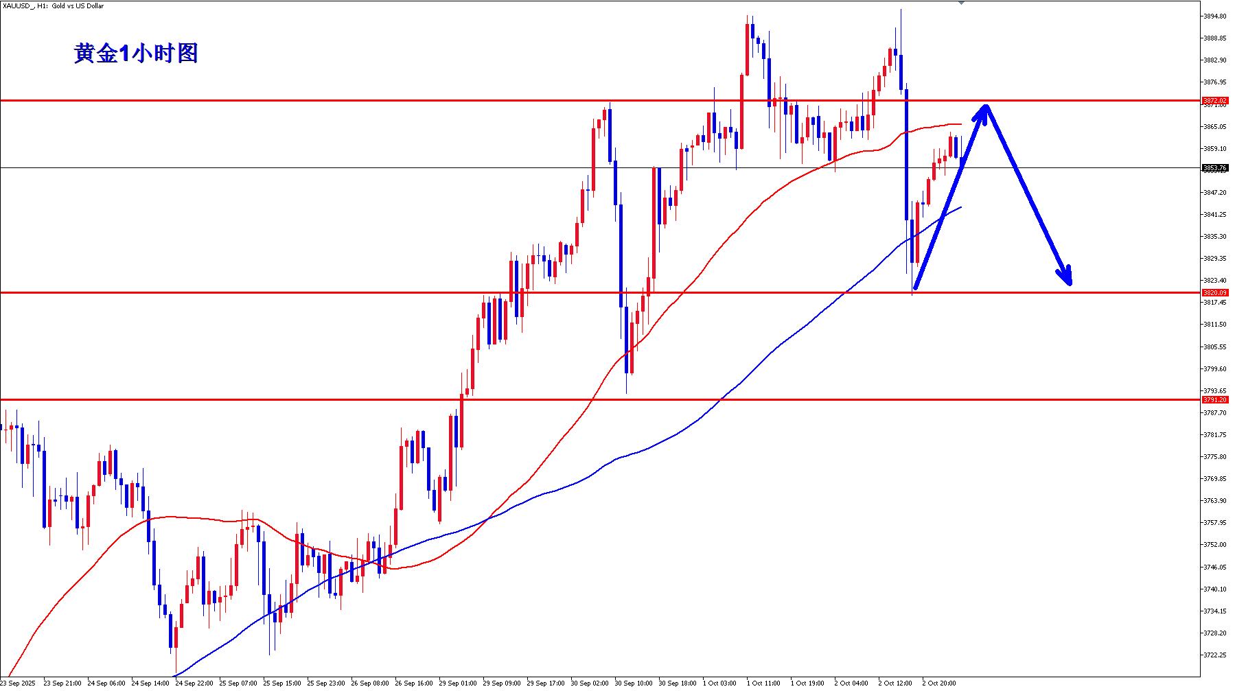 【XM官网】：黄金震荡调整还将继续！(图1)